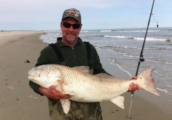 Alan Sutton of Tradewinds Bait and Tackle sets the bar drum fishing on the beach. This 44-incher was caught off the beach recently on his second cast.